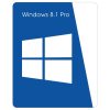 Windows 8.1 Pro