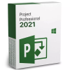 Project 2021 Professional