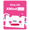 XMind Pro